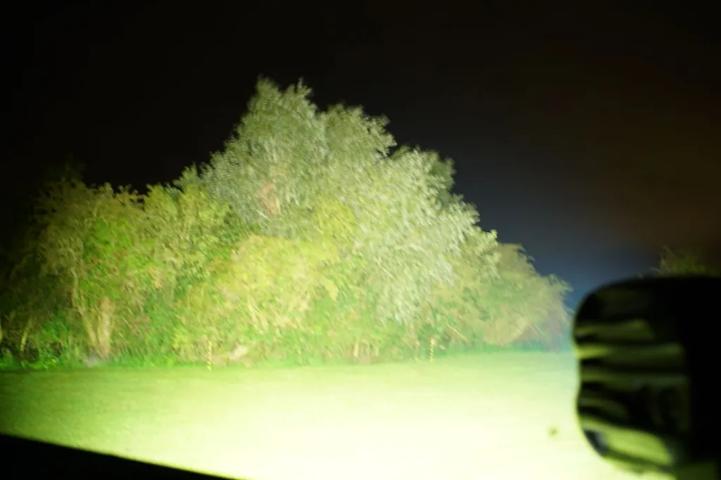 DSC08483.webp